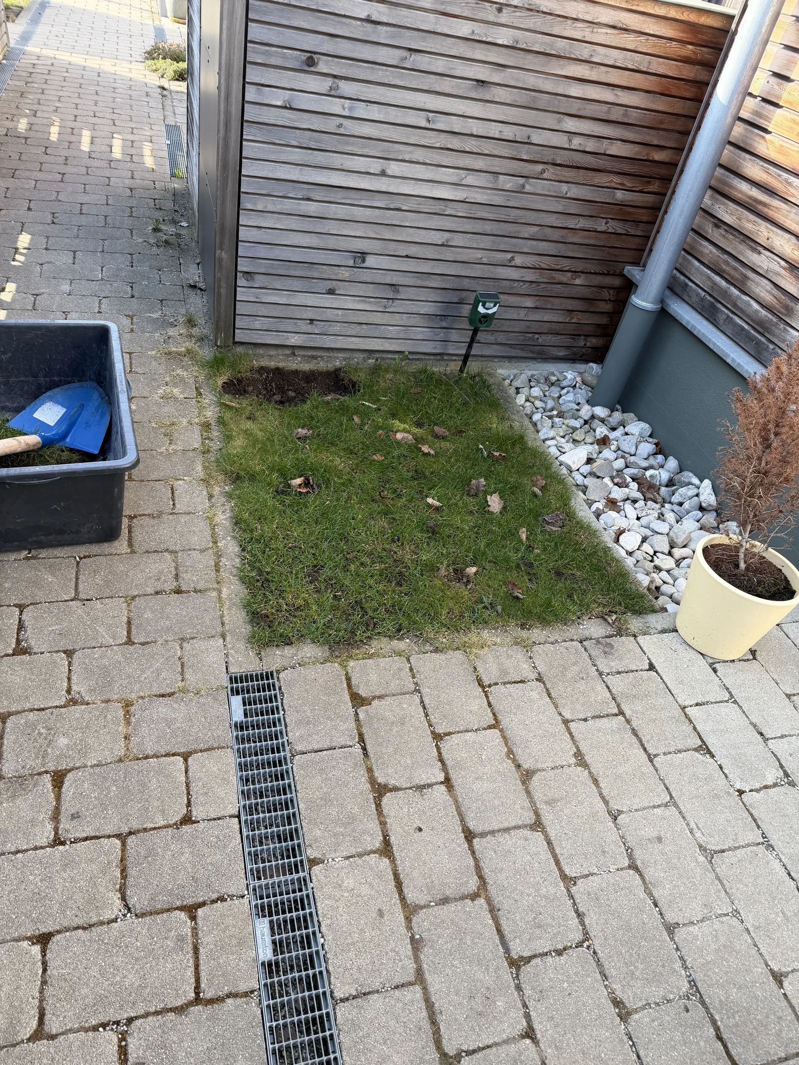 Rasenfläche vor den Pflasterarbeiten