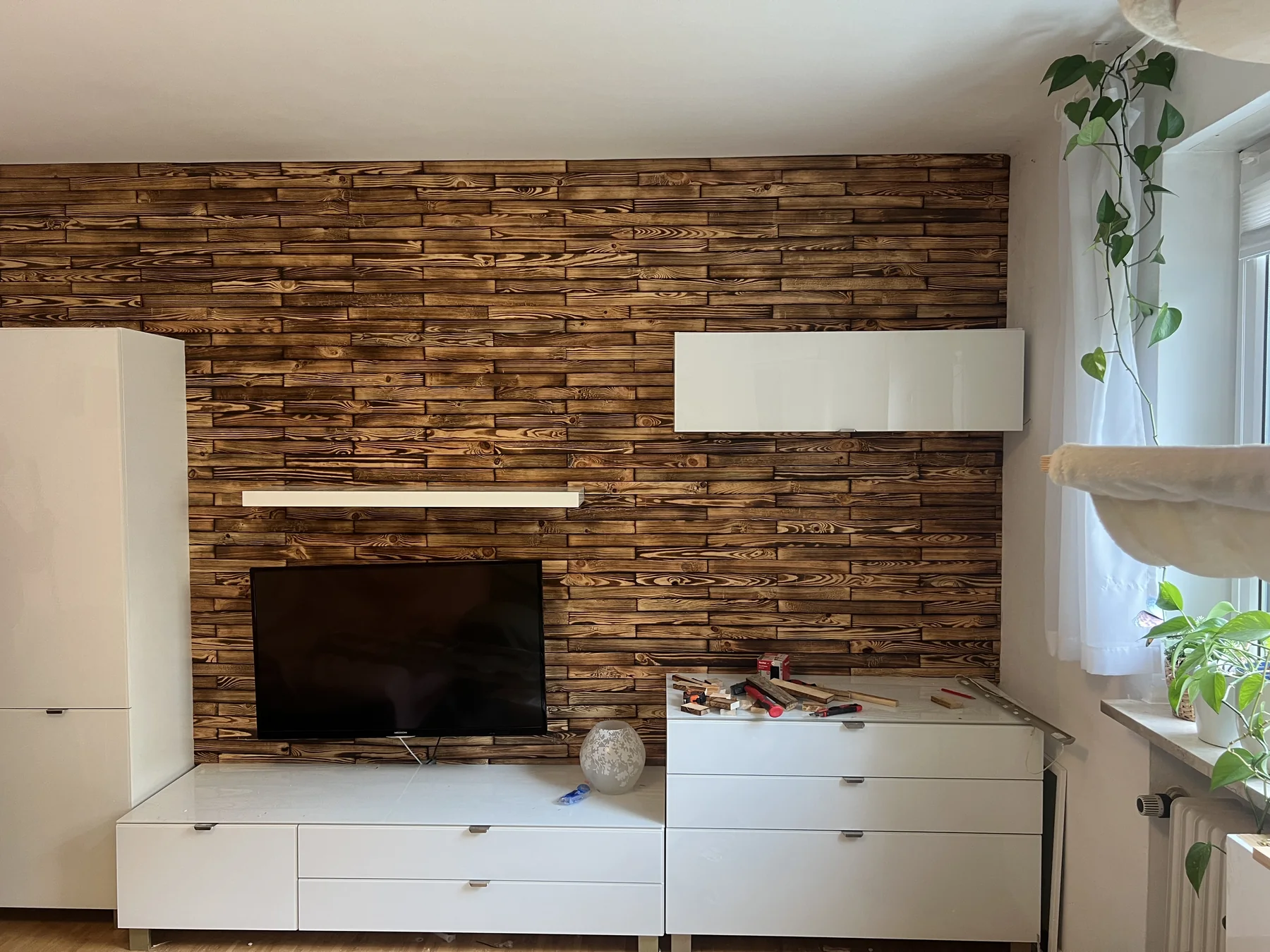 TV Wand Holzoptik erster Reveal